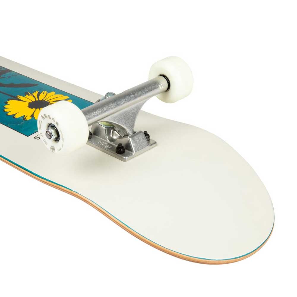 Arbor Skateboards Daisy complete skateboard truck