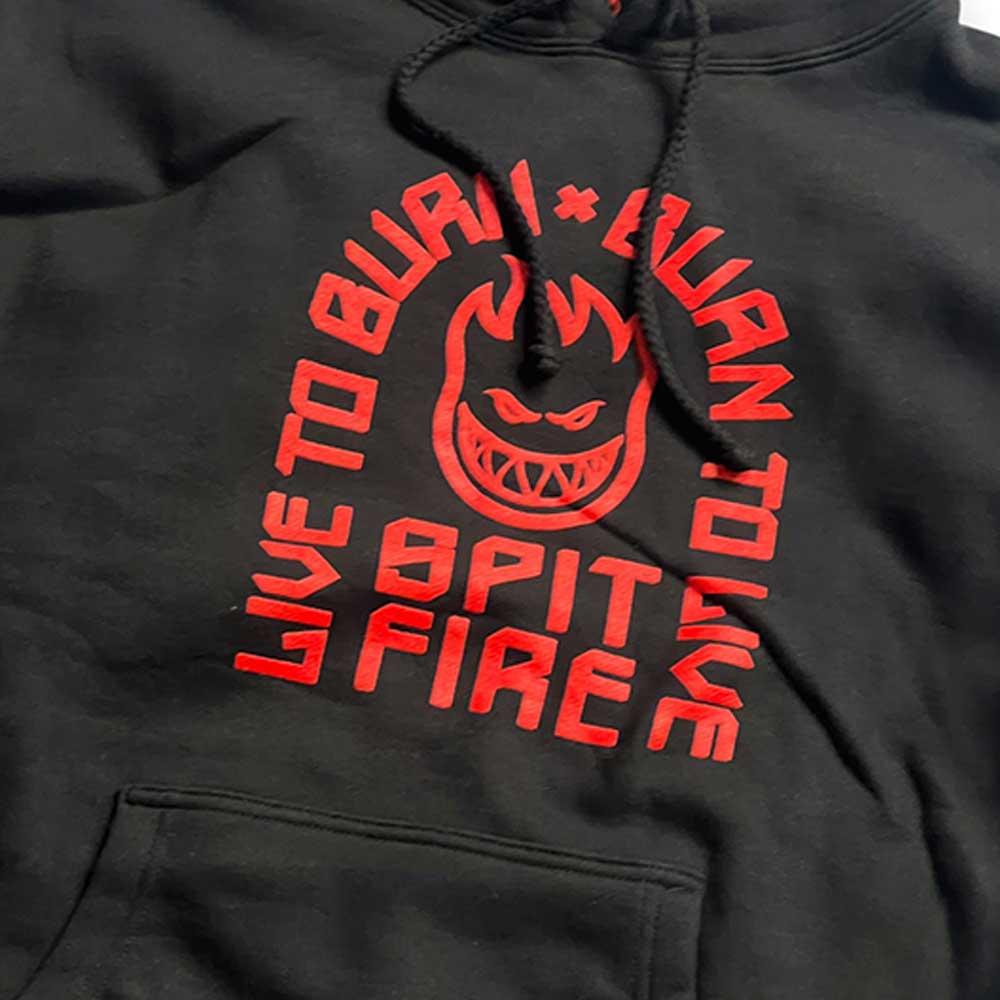 Spitfire Wheels LTB Arch Hooded Sweat detail