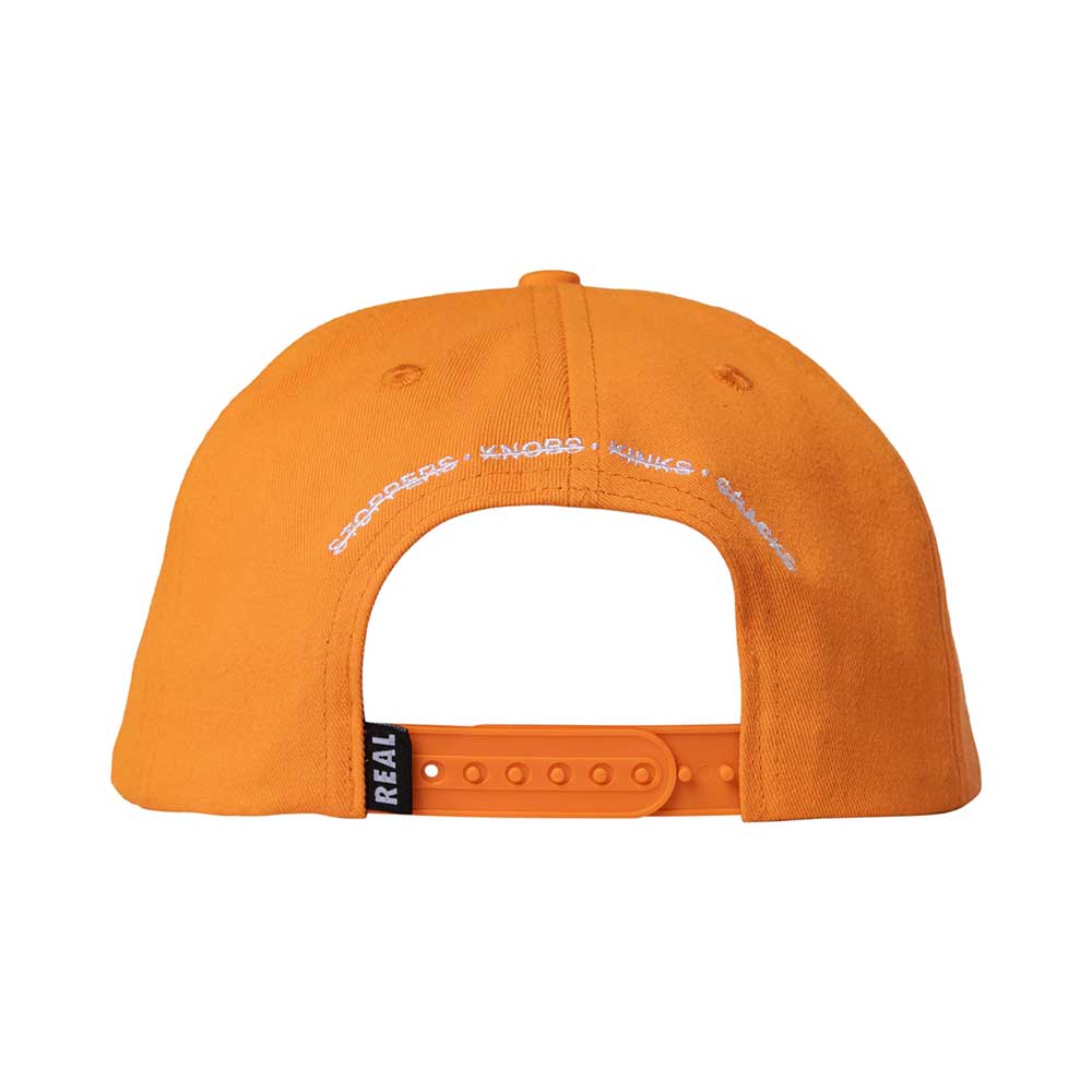 Real Skateboards Spot Conservators cap back