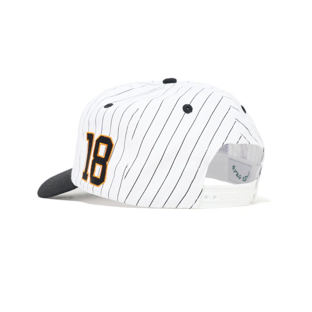 Cash Only Ballpark 6 panel cap white back