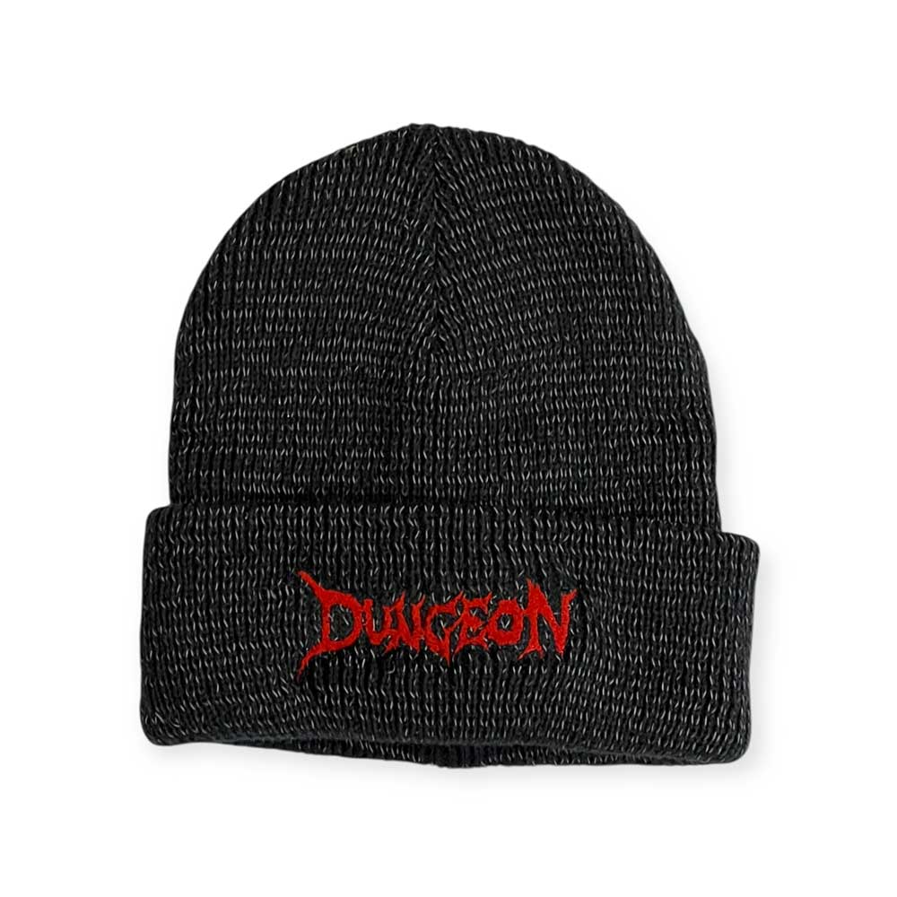 Dungeon Logo reflective beanie