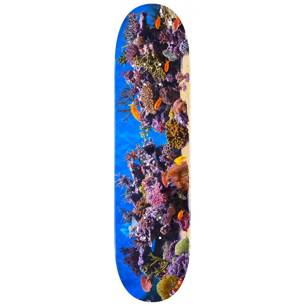 Mini Logo Skateboards Fish Tank deck 8"