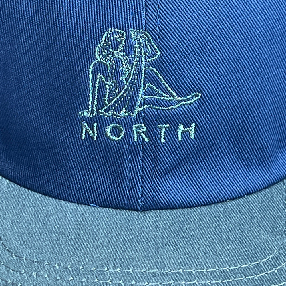 North Skate Mag Zodiac Logo cap front detail
