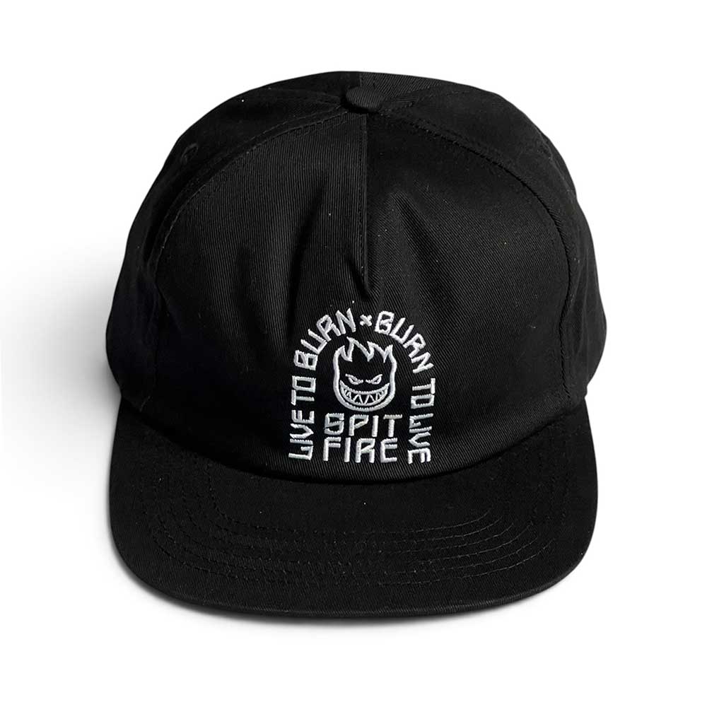 Spitfire Wheels LTB Arched Cap front